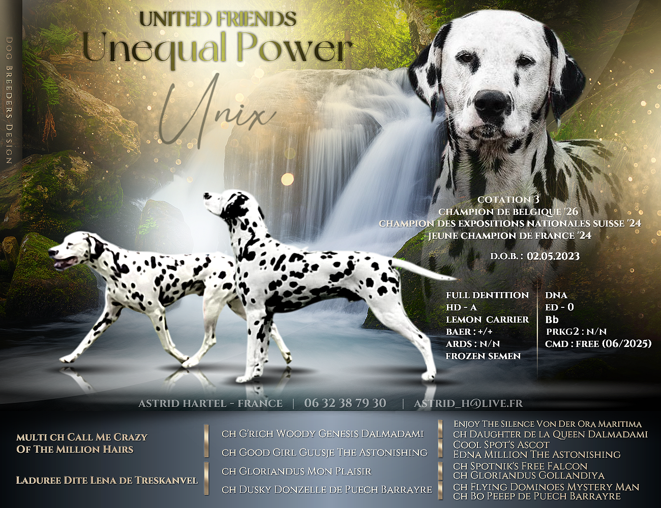 CH. United Friends Unequal power